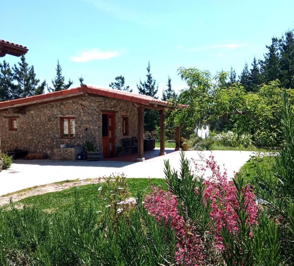 Belaustegi Turismo Rural Ispaster Bagian luar foto