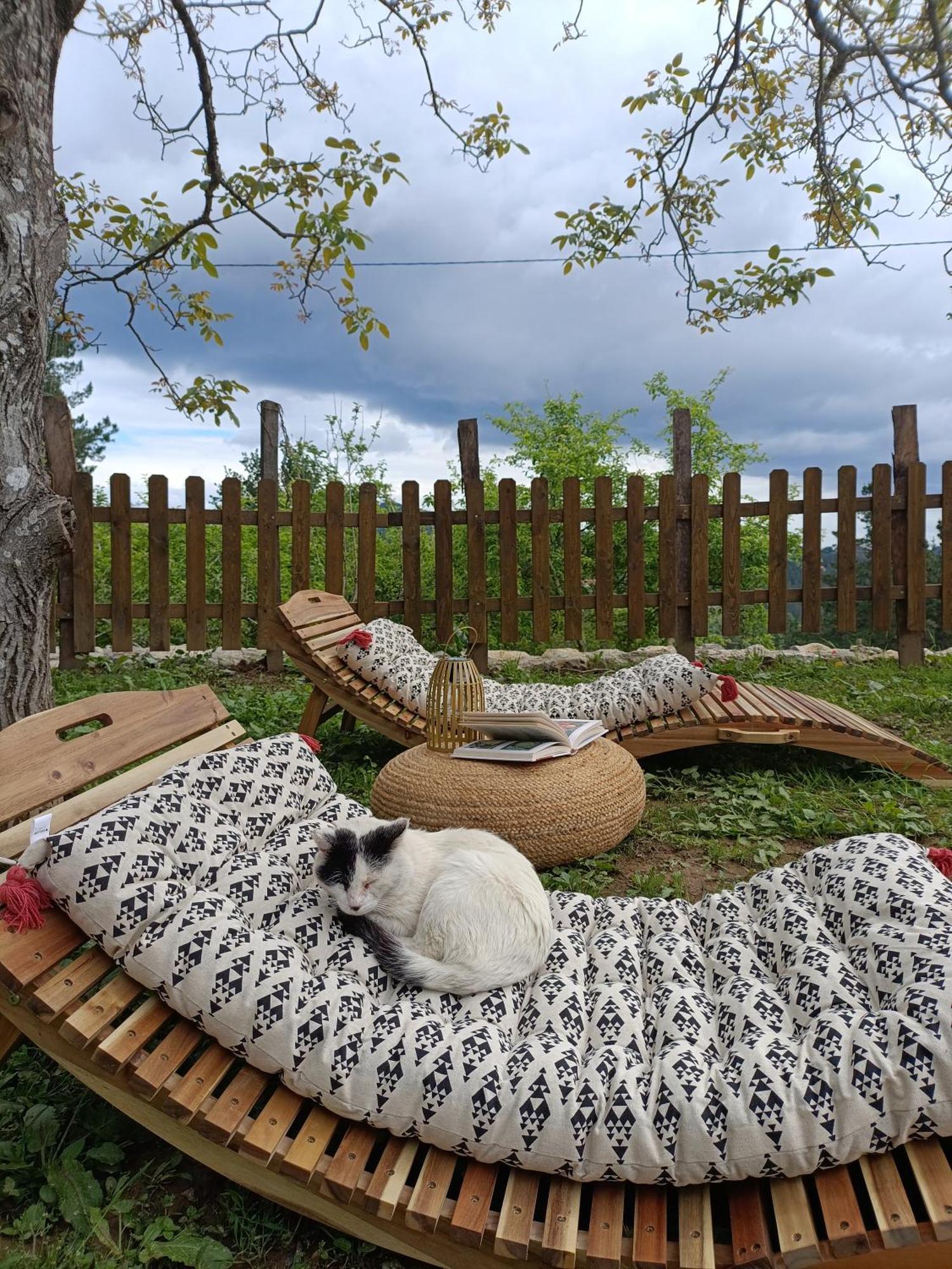 Belaustegi Turismo Rural Ispaster Bagian luar foto